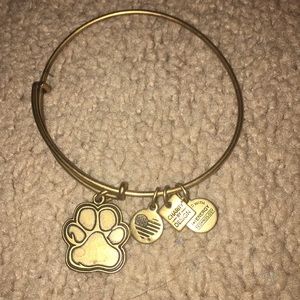 alex and ani bracelet